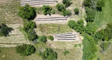 Orman köylülerine 3,3 milyar liralık destek verilecek