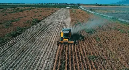 Tarımsal destek ödemeleri hesaplara yatıyor