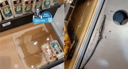 İzmir’de ünlü kuruyemişçide şok iddia: Fare kalıntılarını temizledi, sağlığından oldu