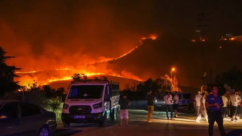 Ankara'da ağaçlık alanda yangın