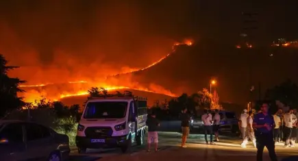 Ankara'da ağaçlık alanda yangın