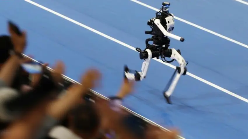 insansı robot