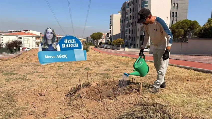 Menemen’de bir adamın sessiz yeşil mücadelesi haberinin görseli