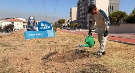Menemen’de bir adamın sessiz yeşil mücadelesi