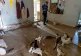 Mersin’de ‘çöp ev’ ihbarından yaklaşık 100 kedi çıktı