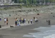 Rize’de denize giren iki kardeşten biri hayatını kaybetti, diğeri kayıp
