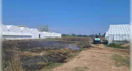 Antalya Serik'te otluk alanda yangın: Seralar zarar gördü