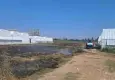 Antalya Serik'te otluk alanda yangın: Seralar zarar gördü