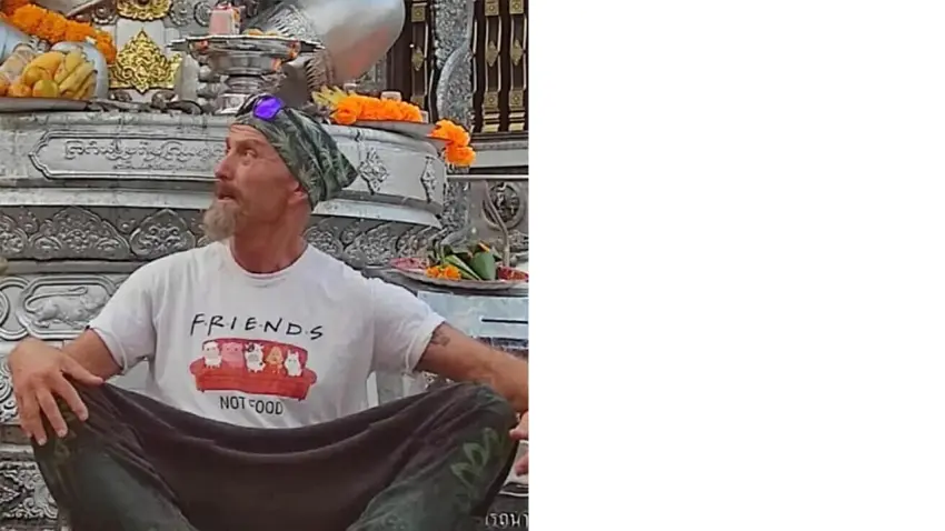 paras&uuml;t