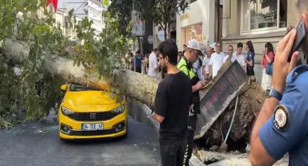 Şişli'de araçların üzerine ağaç devrildi, yol trafiğe kapandı