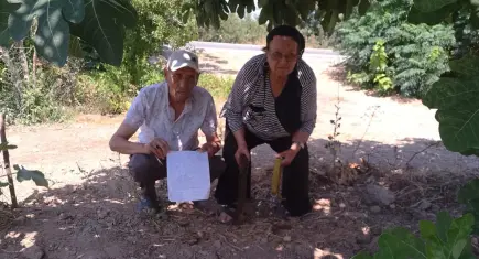 İzmir'de yaşlı kadının can dostu isyanı:Köpeğimi bulana kadar mücadele edeceğim