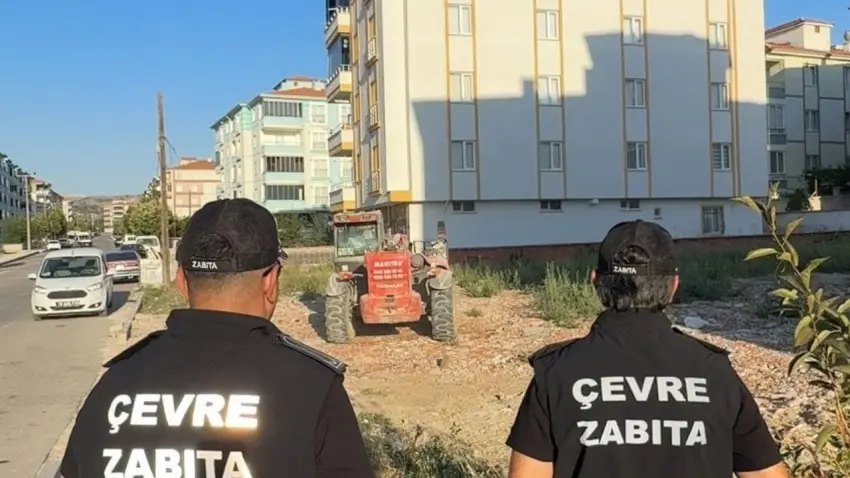 zabıta