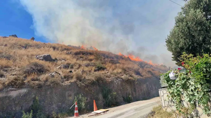 Bodrum’da makilik alanda yangın: 1 saatte kontrol altına alındı haberinin görseli