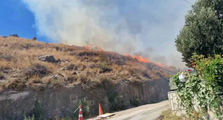 Bodrum’da makilik alanda yangın: 1 saatte kontrol altına alındı
