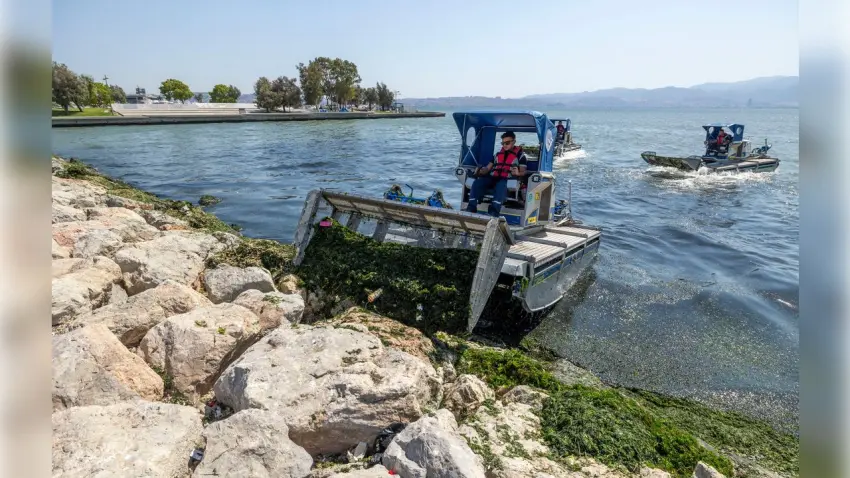 İzmir’de derelerden 233 bin 584 ton atık çıkarıldı haberinin görseli