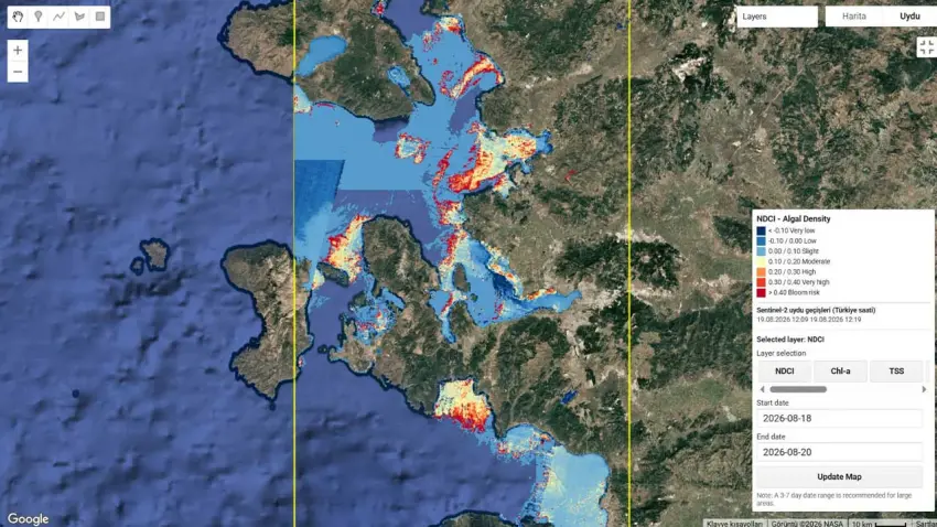fo&ccedil;a