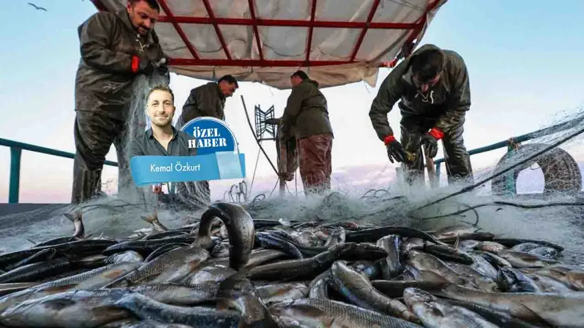 Denizler bereketli, yeni sezondan umutlar yüksek haberinin görseli