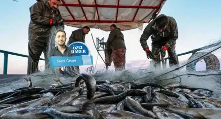 Denizler bereketli, yeni sezondan umutlar yüksek