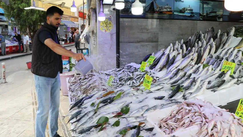 Karadeniz'de av yasağı sona erdi: Tezgahlar palamutla doldu haberinin görseli