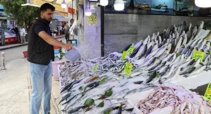 Karadeniz'de av yasağı sona erdi: Tezgahlar palamutla doldu