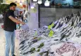 Karadeniz'de av yasağı sona erdi: Tezgahlar palamutla doldu