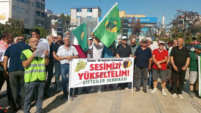 Üzüm üreticisi yeni sezona da borçla girdi haberinin görseli