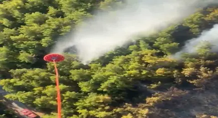 Antalya'da orman yangını