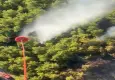 Antalya'da orman yangını