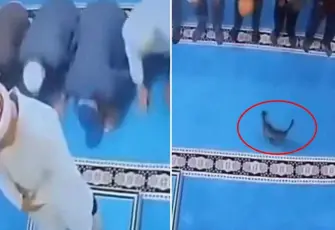 Camideki kediyi tekmeleyen şüpheli serbest bırakıldı