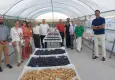 EİB, Avrupa’nın kuru meyve temsilcilerini Türkiye’de buluşturdu