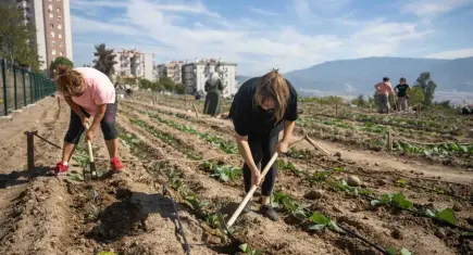 Buğday Derneği’nden kent bostanları çağrısı: Kentleri krizlere karşı dirençli hale getirelim