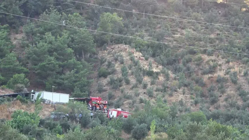 Hatay'da orman yangını haberinin görseli