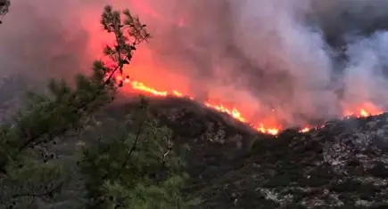 İzmir haber: Bergama’da orman yangını! Ekiplerin müdahalesi sürüyor