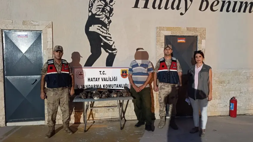 Koruma altındaki arı şahinlerini vuran avcıya para cezası haberinin görseli