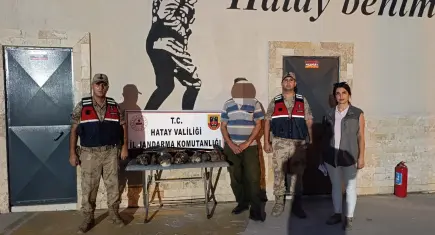 Koruma altındaki arı şahinlerini vuran avcıya para cezası