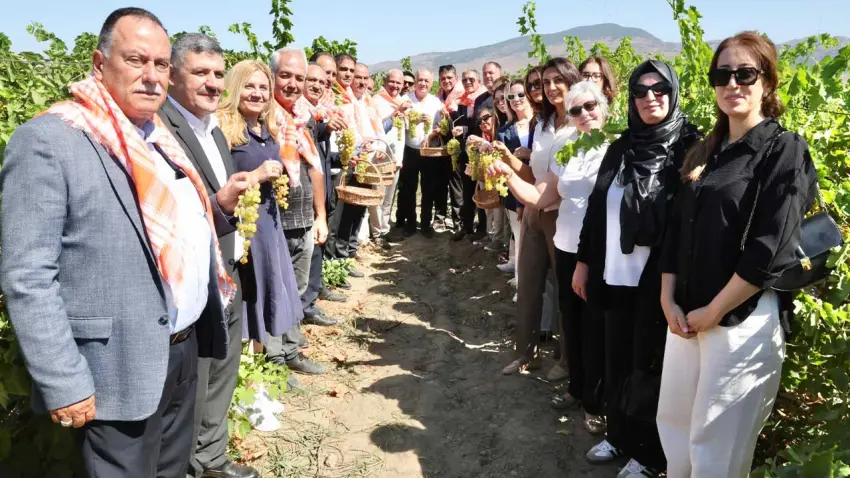 Menemen Tarım Köyü’nde bağ bozumu buluşması  haberinin görseli