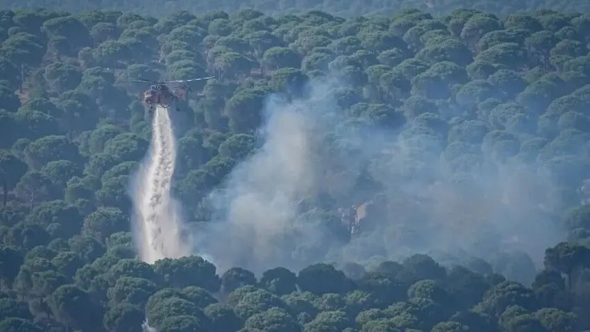 Orman yangınlarıyla mücadelede yeni dönem: Yapay zeka ve İHA'lar devrede haberinin görseli