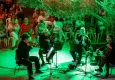 Zeytin Altında konserleri, Somogyi Quartet’i ağırladı