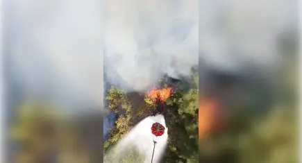 Bursa’da ormanlık alanda yangın çıktı