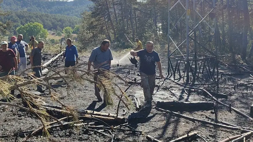 Elektrik akımına kapılan kuş orman yangınına neden oldu haberinin görseli