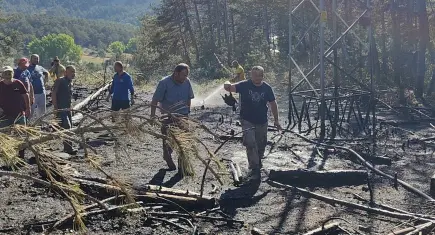 Elektrik akımına kapılan kuş orman yangınına neden oldu