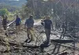 Elektrik akımına kapılan kuş orman yangınına neden oldu