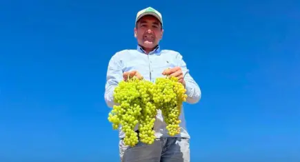 Saruhanlı Belediye Başkanı Ekrem Cıllı yaralandı: Hastaneye kaldırıldı