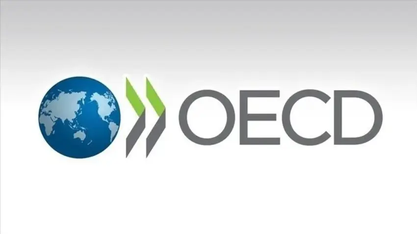 Türkiye'nin eğitim reformuna OECD'den yakın takip haberinin görseli