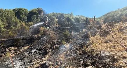 Kemalpaşa'da makilik alandaki yangın kontrol altına alındı