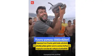 Yunus yavrusu için adalet: Küresel imza kampanyası başlatıldı