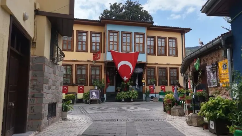 Zeki Müren'in unutulmaz şarkısı 'Manolyam'a ilham veren 300 yıllık ağaç zamana meydan okuyor! haberinin görseli