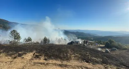 Bursa’da korkutan yangın: Anız alevleri ormana sıçradı