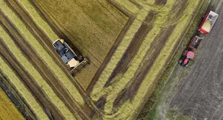 Çiftçiye müjde: Tarım ve hayvancılık destekleri artırıldı! (2026-2027 ilave ve planlı üretim destek miktarları)