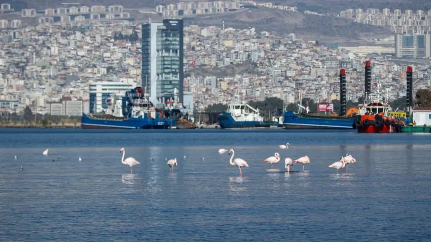 İzmir K&ouml;rfezi